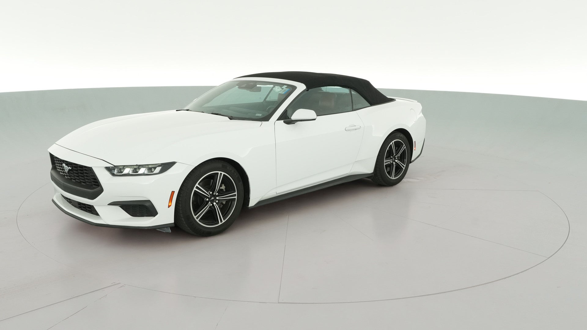 2024 Ford Mustang vehicle photo
