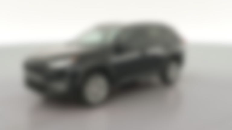 2021 Toyota RAV4 vehicle photo