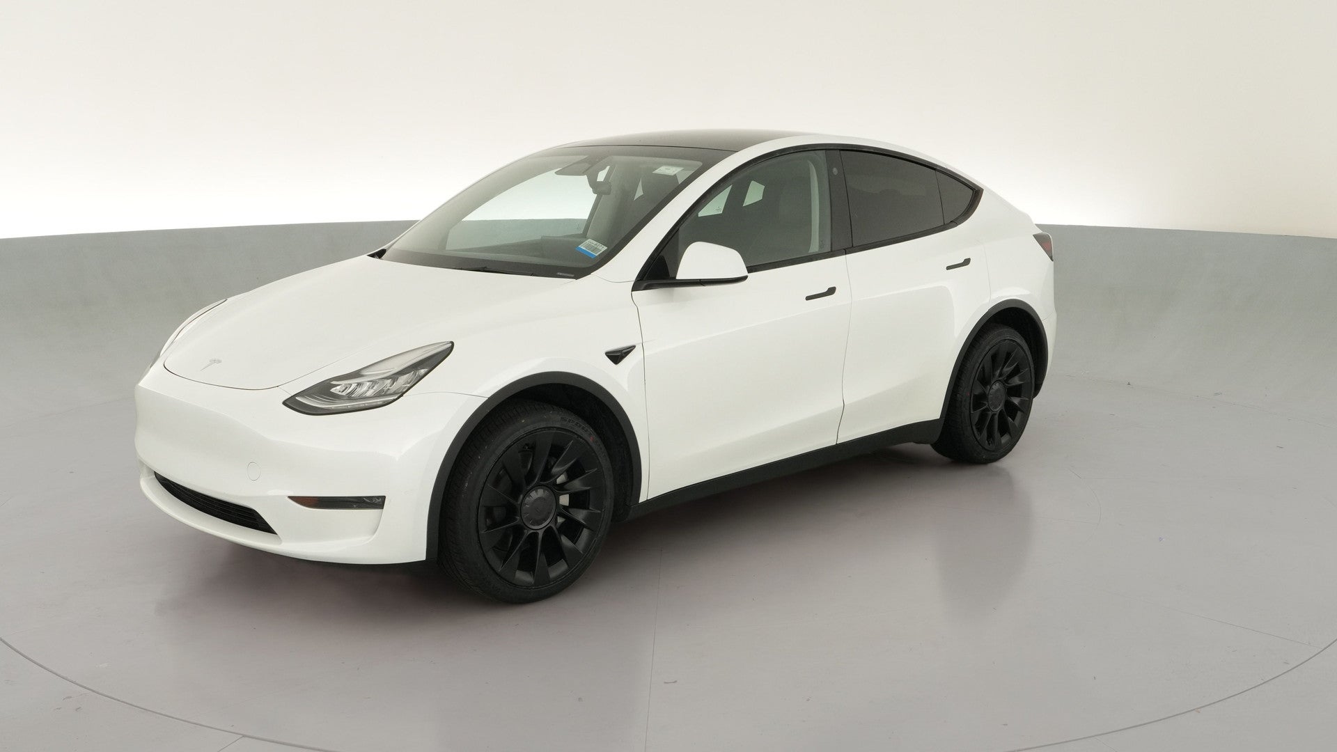 2023 Tesla Model Y vehicle photo