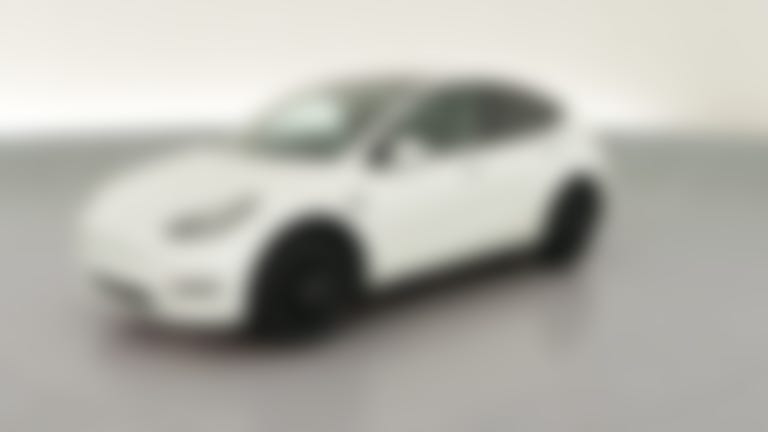 2023 Tesla Model Y vehicle photo