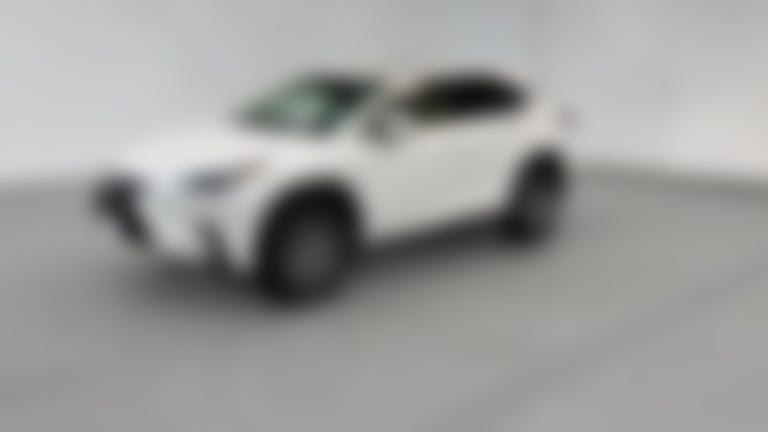 2019 Lexus NX vehicle photo