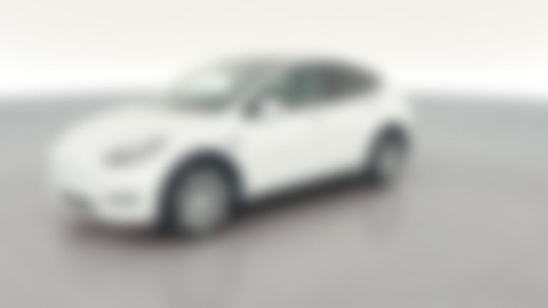 2023 Tesla Model Y vehicle photo