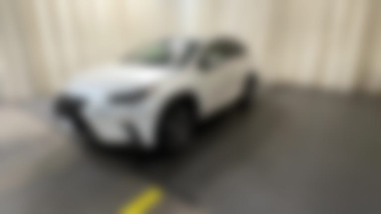 2020 Lexus NX vehicle photo