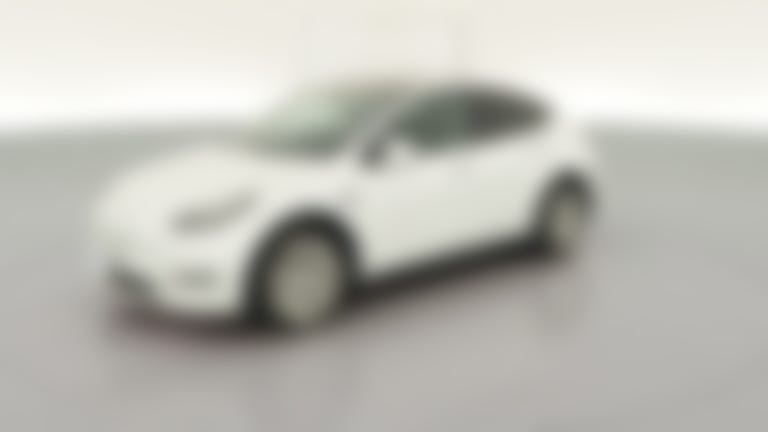 2021 Tesla Model Y vehicle photo
