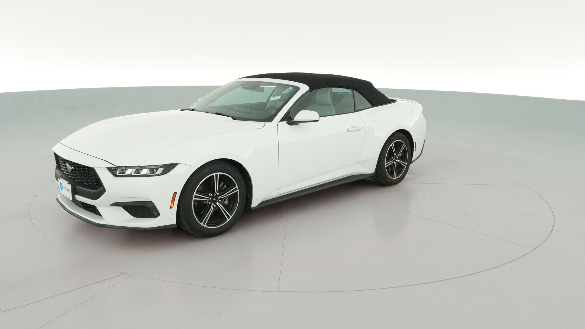 2024 Ford Mustang vehicle photo
