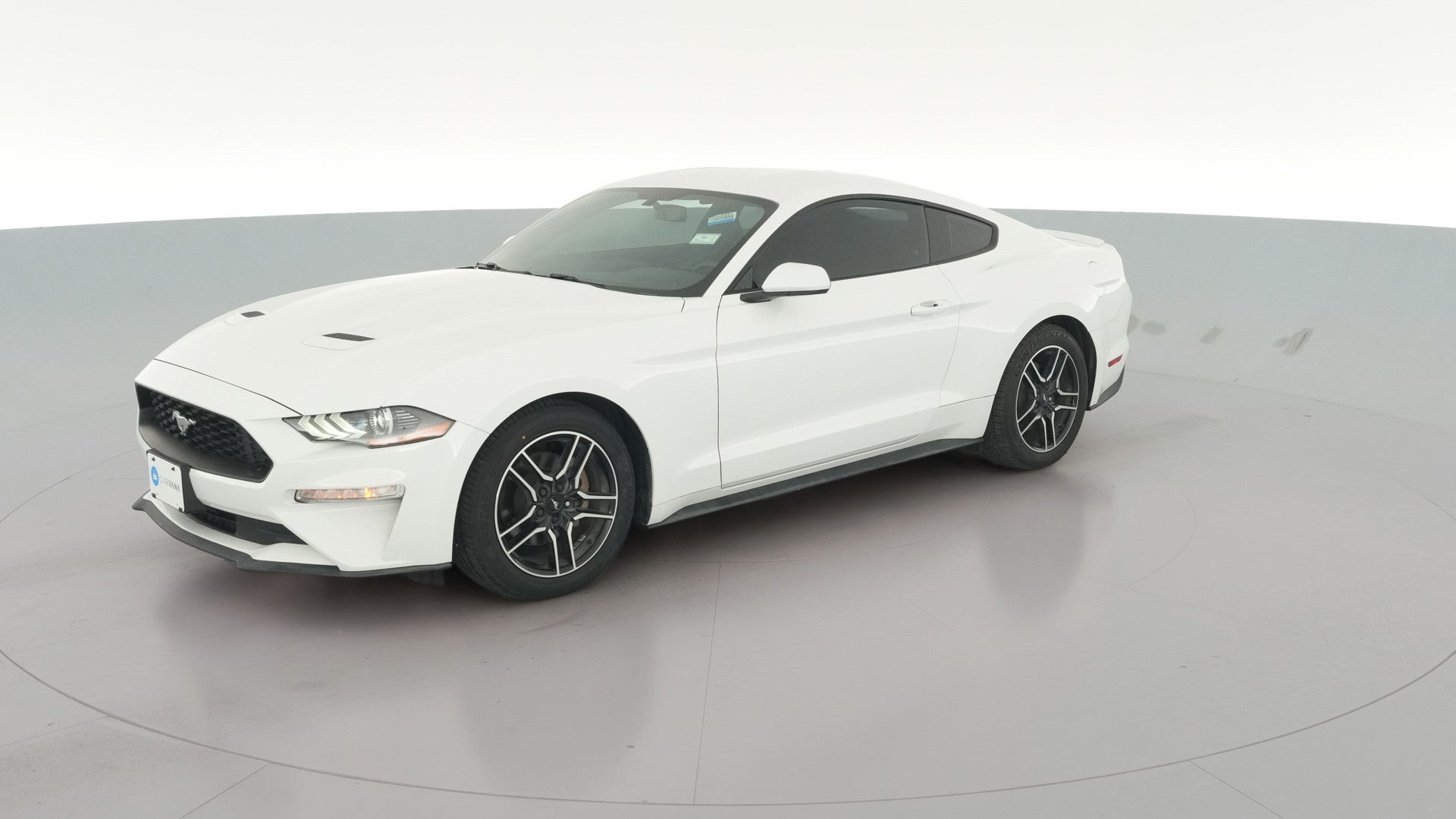 2019 Ford Mustang vehicle photo
