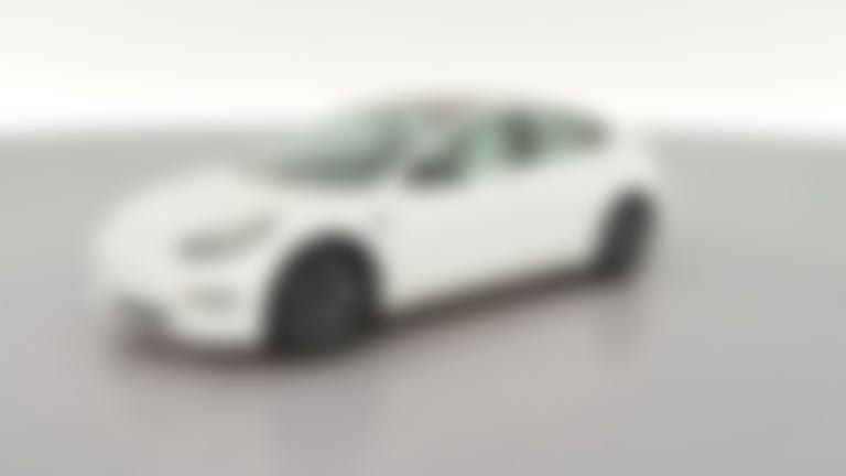 2020 Tesla Model 3 vehicle photo