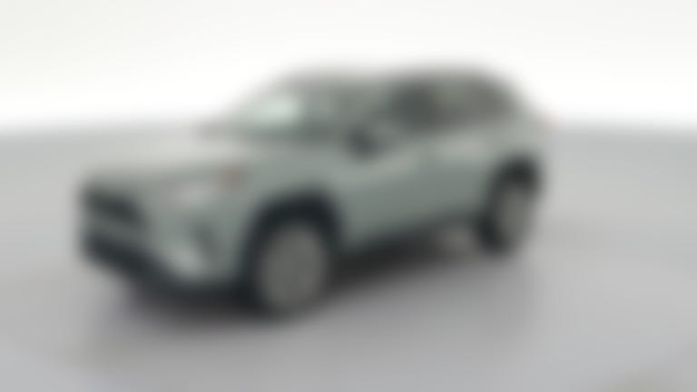 2019 Toyota RAV4 vehicle photo