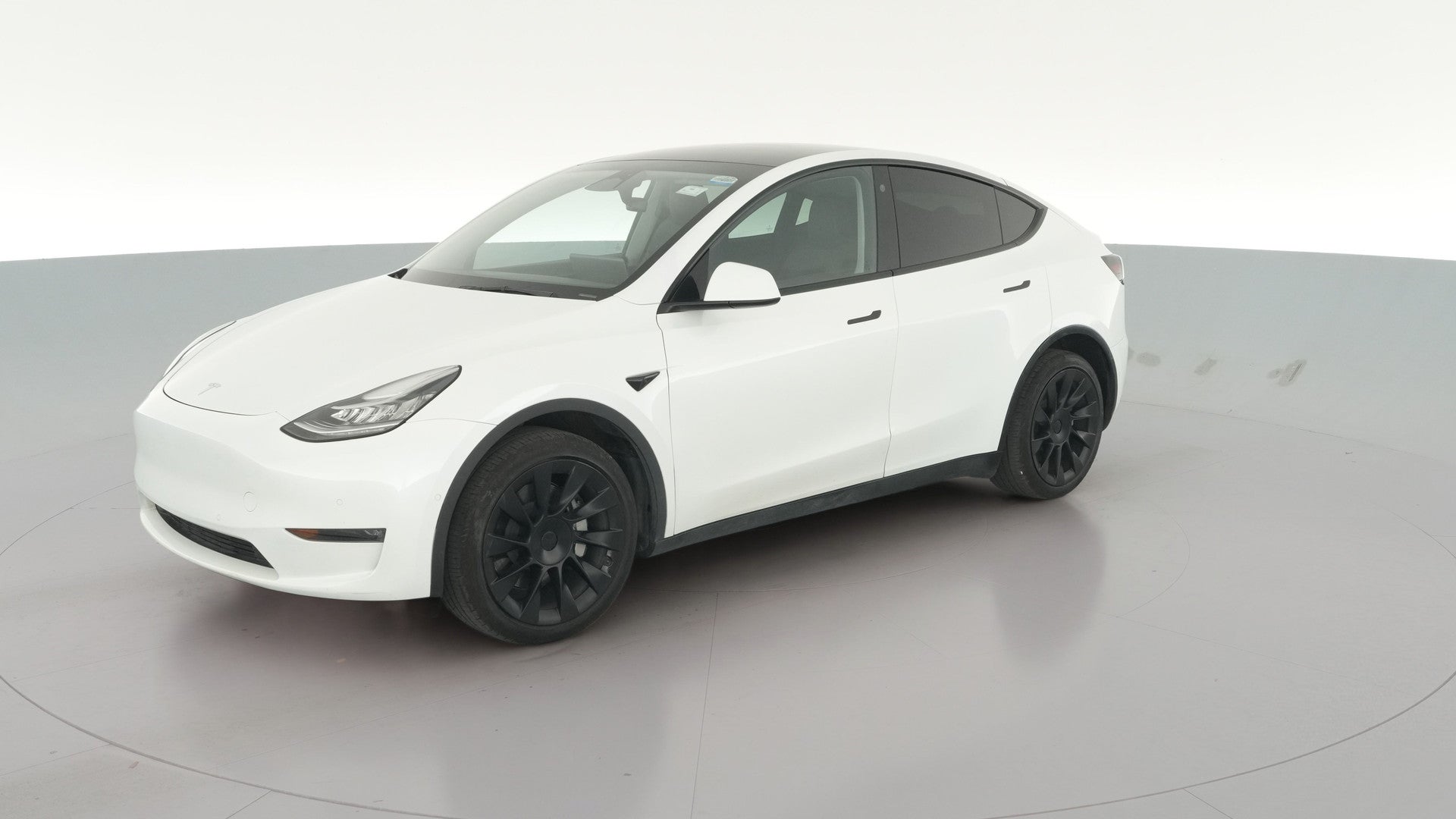 2022 Tesla Model Y vehicle photo