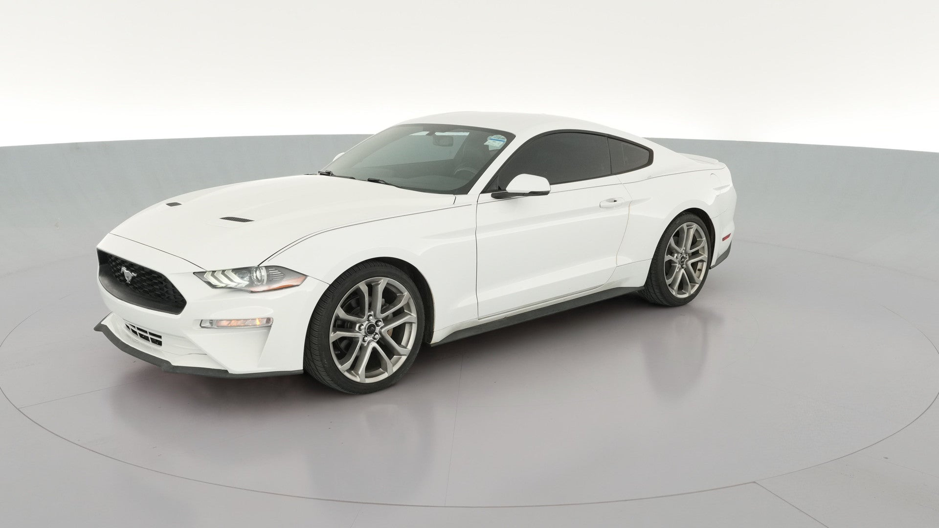 2019 Ford Mustang vehicle photo