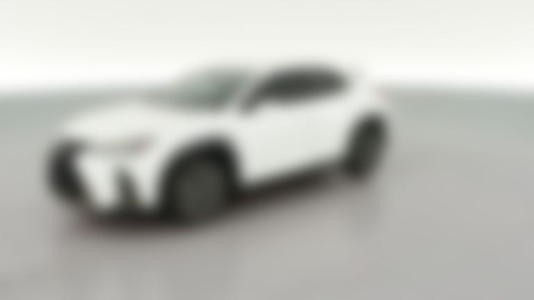 2020 Lexus UX vehicle photo