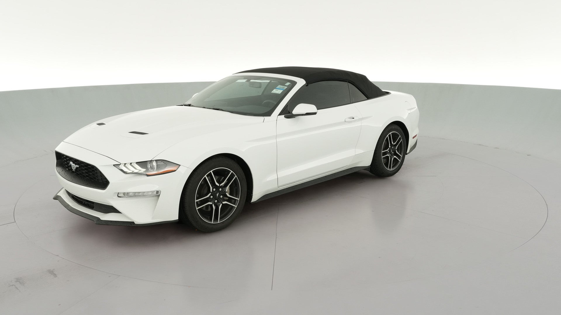 2019 Ford Mustang vehicle photo