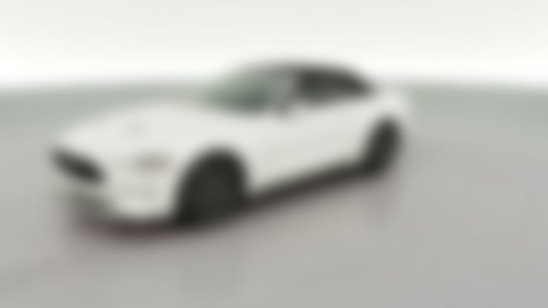 2019 Ford Mustang vehicle photo