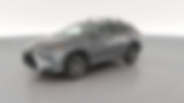 2016 Lexus RX vehicle photo