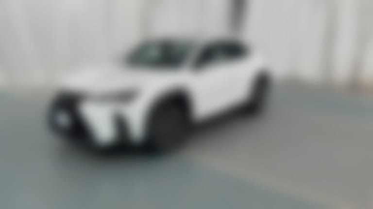 2019 Lexus UX vehicle photo