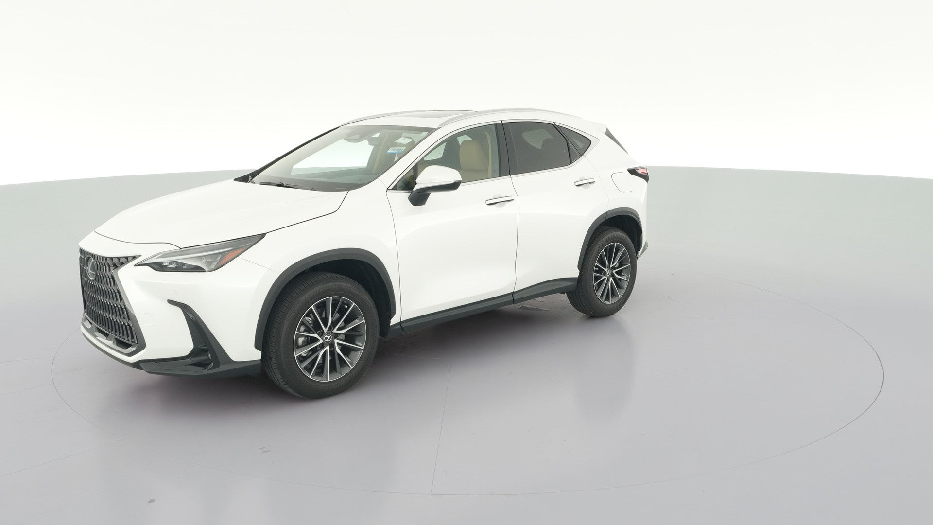 2025 Lexus NX vehicle photo