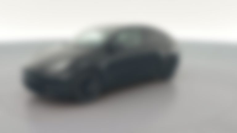 2020 Tesla Model Y vehicle photo