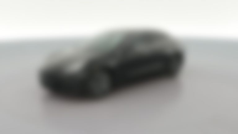 2020 Tesla Model 3 vehicle photo