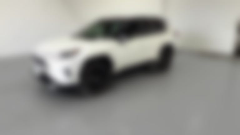 2019 Toyota RAV4 Hybrid vehicle photo