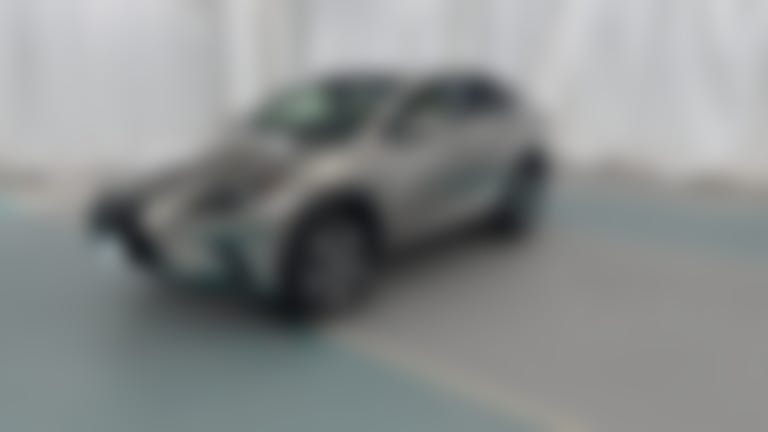 2019 Lexus NX vehicle photo