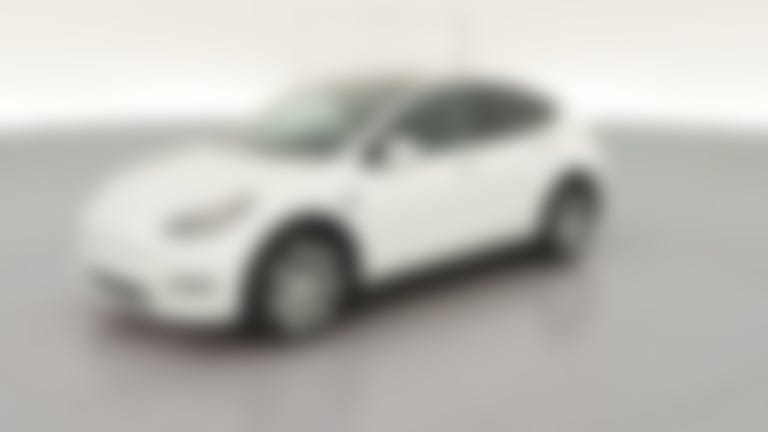 2023 Tesla Model Y vehicle photo