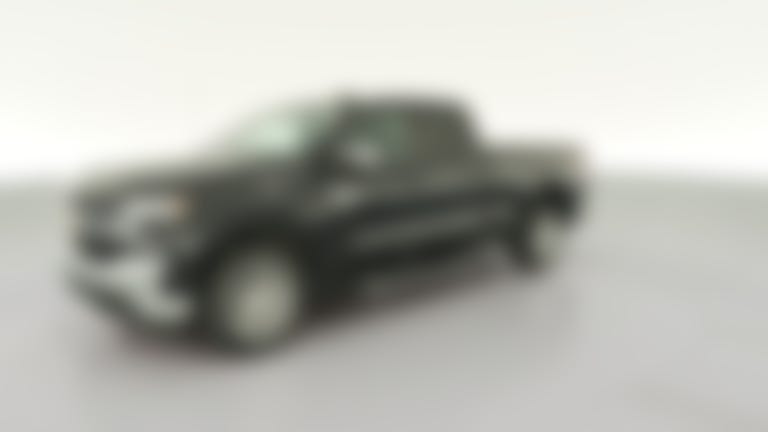 2021 Chevrolet Silverado 1500 Double Cab vehicle photo