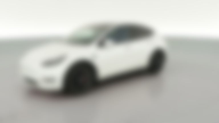 2021 Tesla Model Y vehicle photo