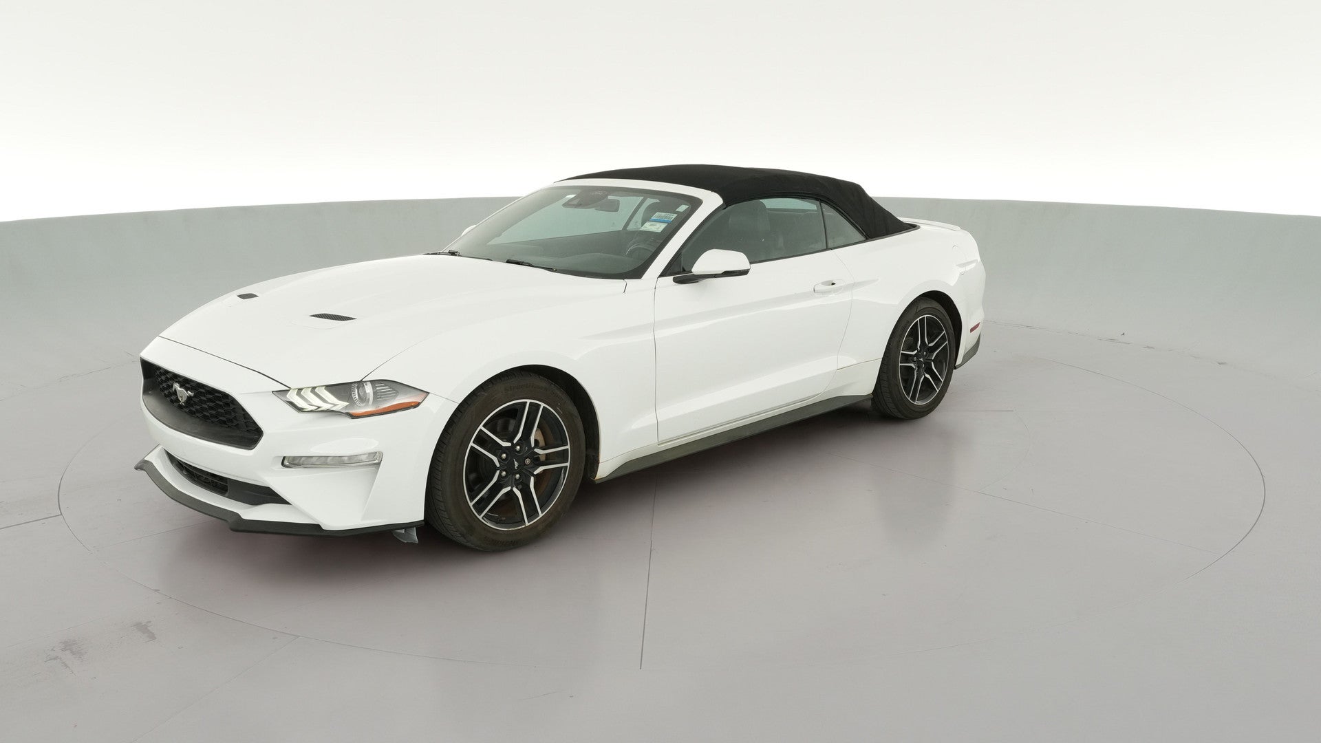 2023 Ford Mustang vehicle photo