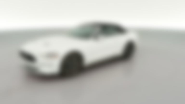 2023 Ford Mustang vehicle photo