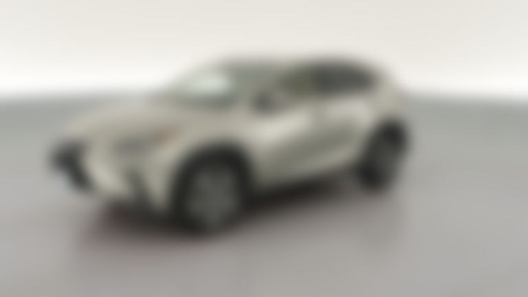 2019 Lexus NX vehicle photo