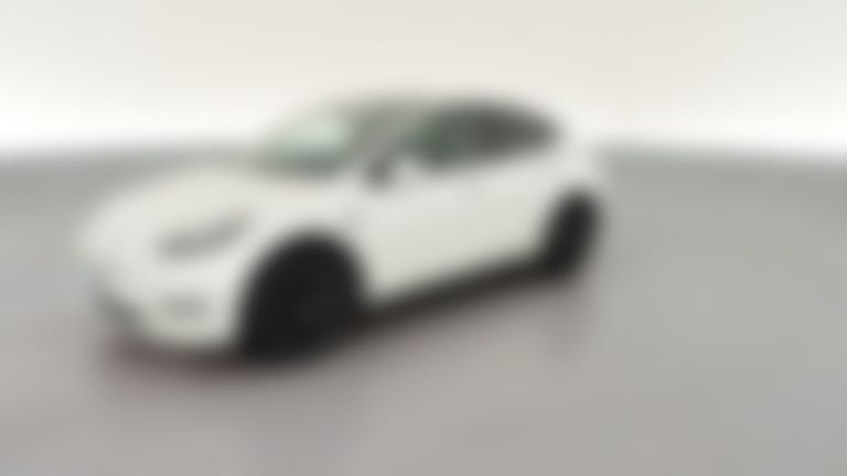 2021 Tesla Model Y vehicle photo