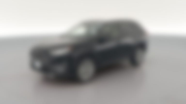 2019 Toyota RAV4 vehicle photo