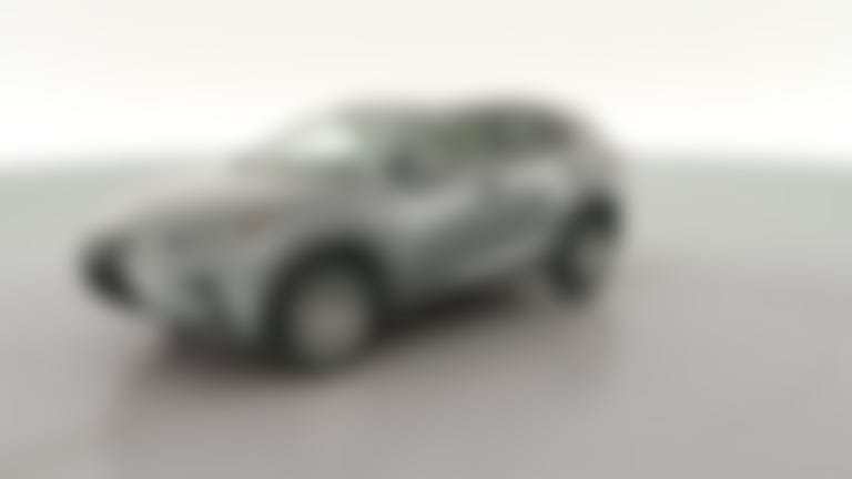 2019 Lexus NX vehicle photo