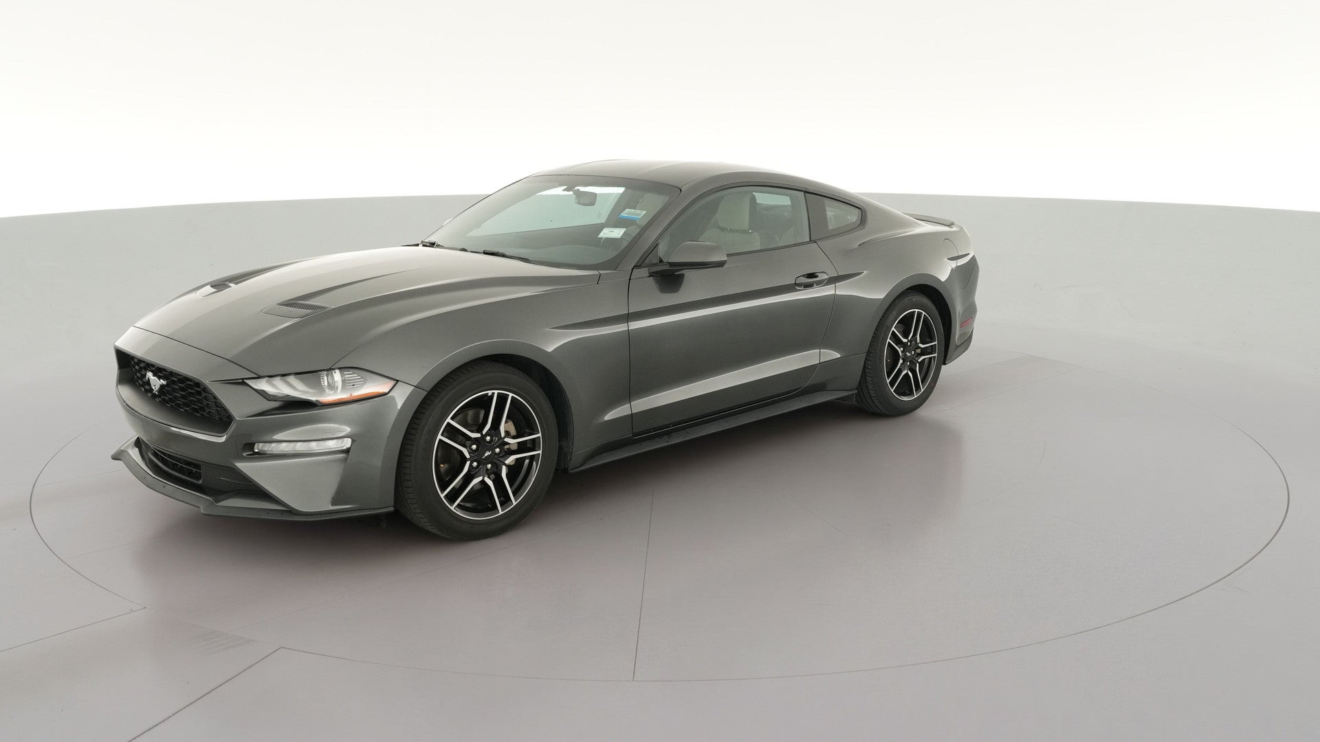 2019 Ford Mustang vehicle photo