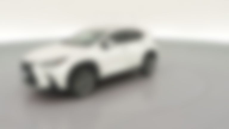 2022 Lexus NX vehicle photo
