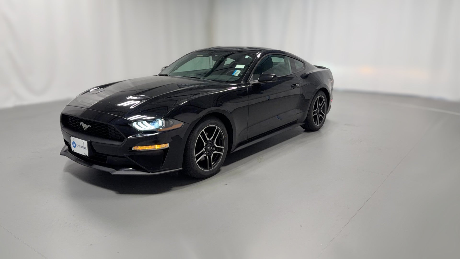 2019 Ford Mustang vehicle photo