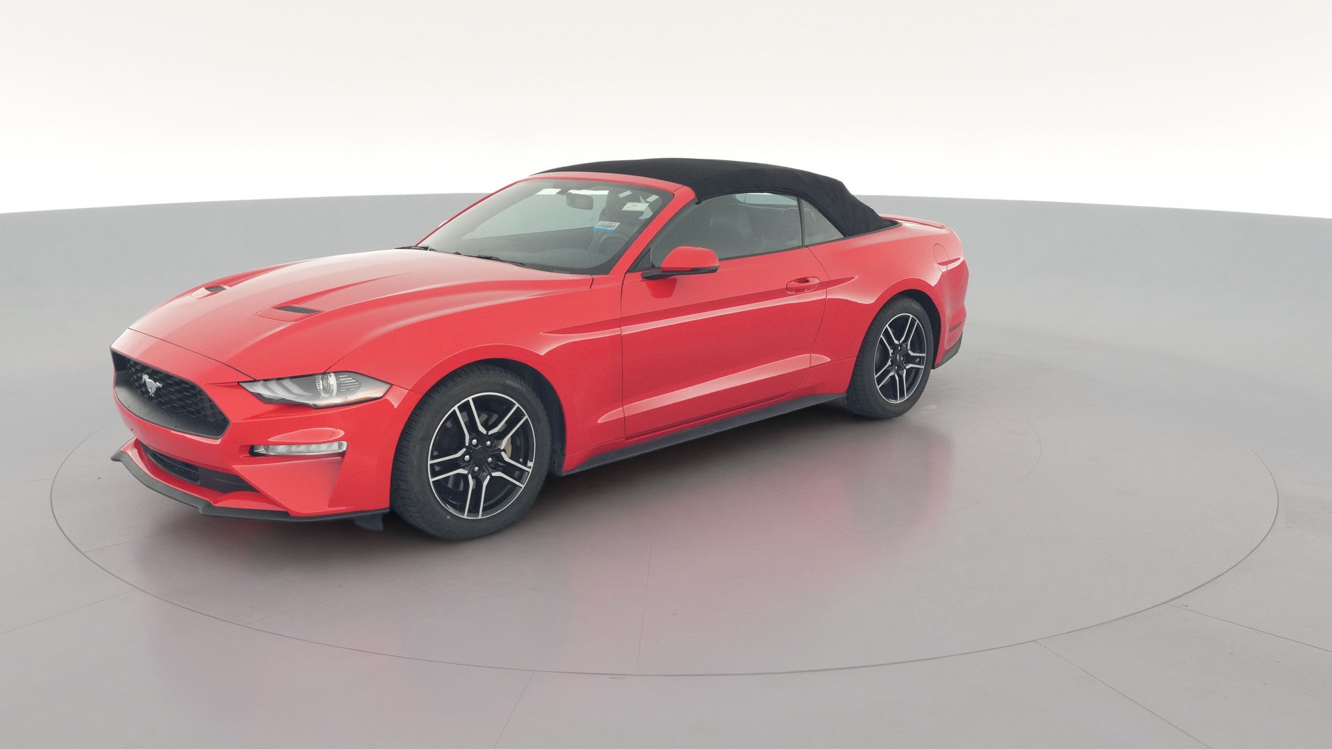 2019 Ford Mustang vehicle photo