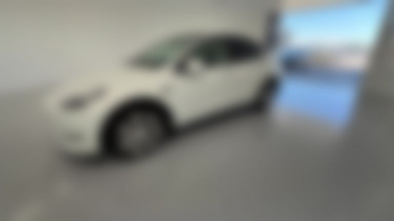 2021 Tesla Model Y vehicle photo