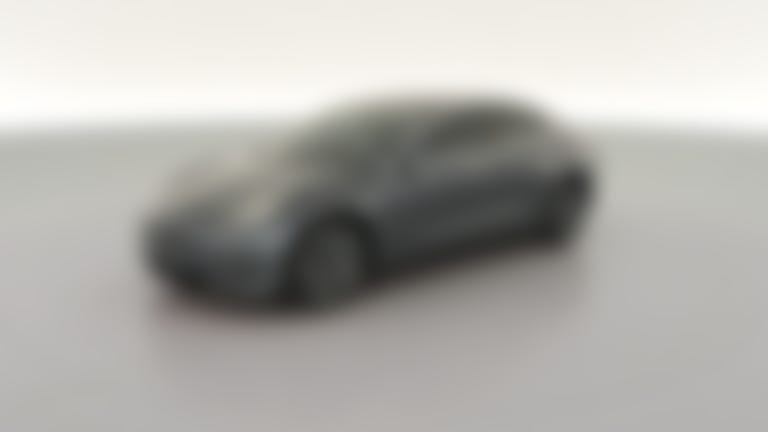 2019 Tesla Model 3 vehicle photo