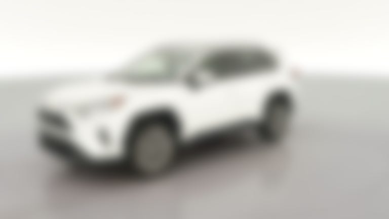 2019 Toyota RAV4 vehicle photo