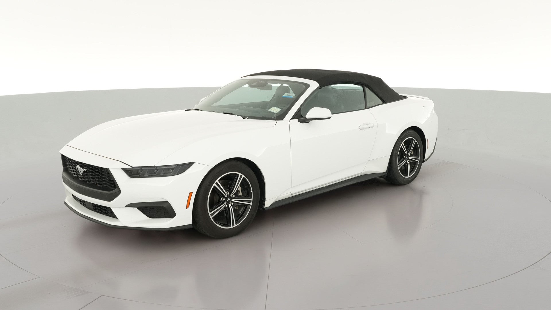 2025 Ford Mustang vehicle photo