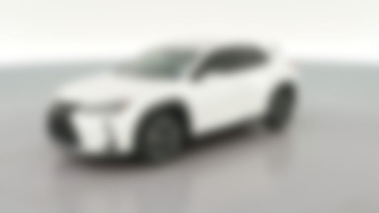 2019 Lexus UX vehicle photo