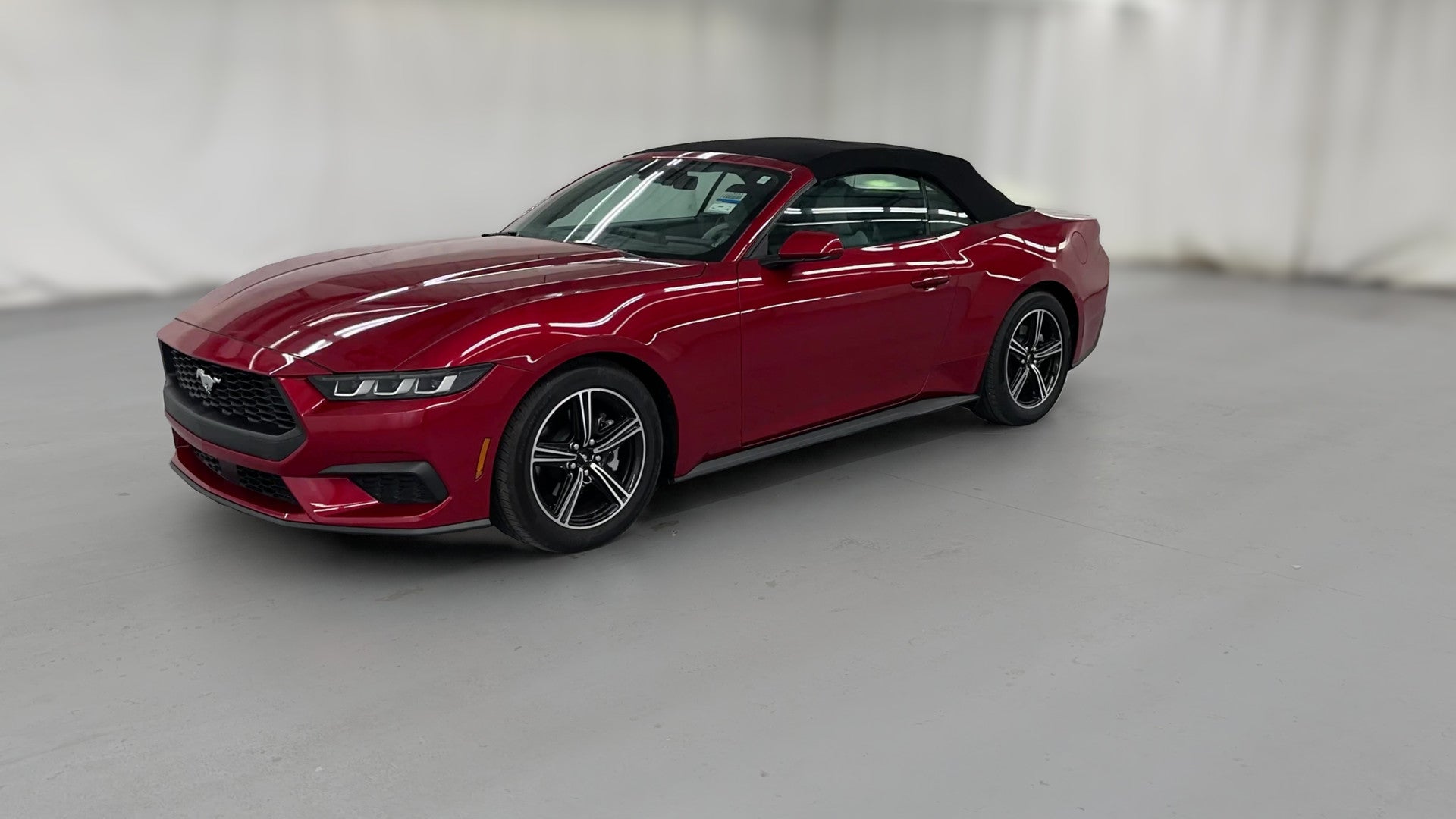 2024 Ford Mustang vehicle photo