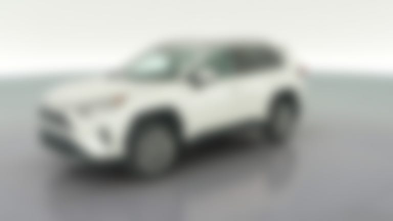 2019 Toyota RAV4 vehicle photo