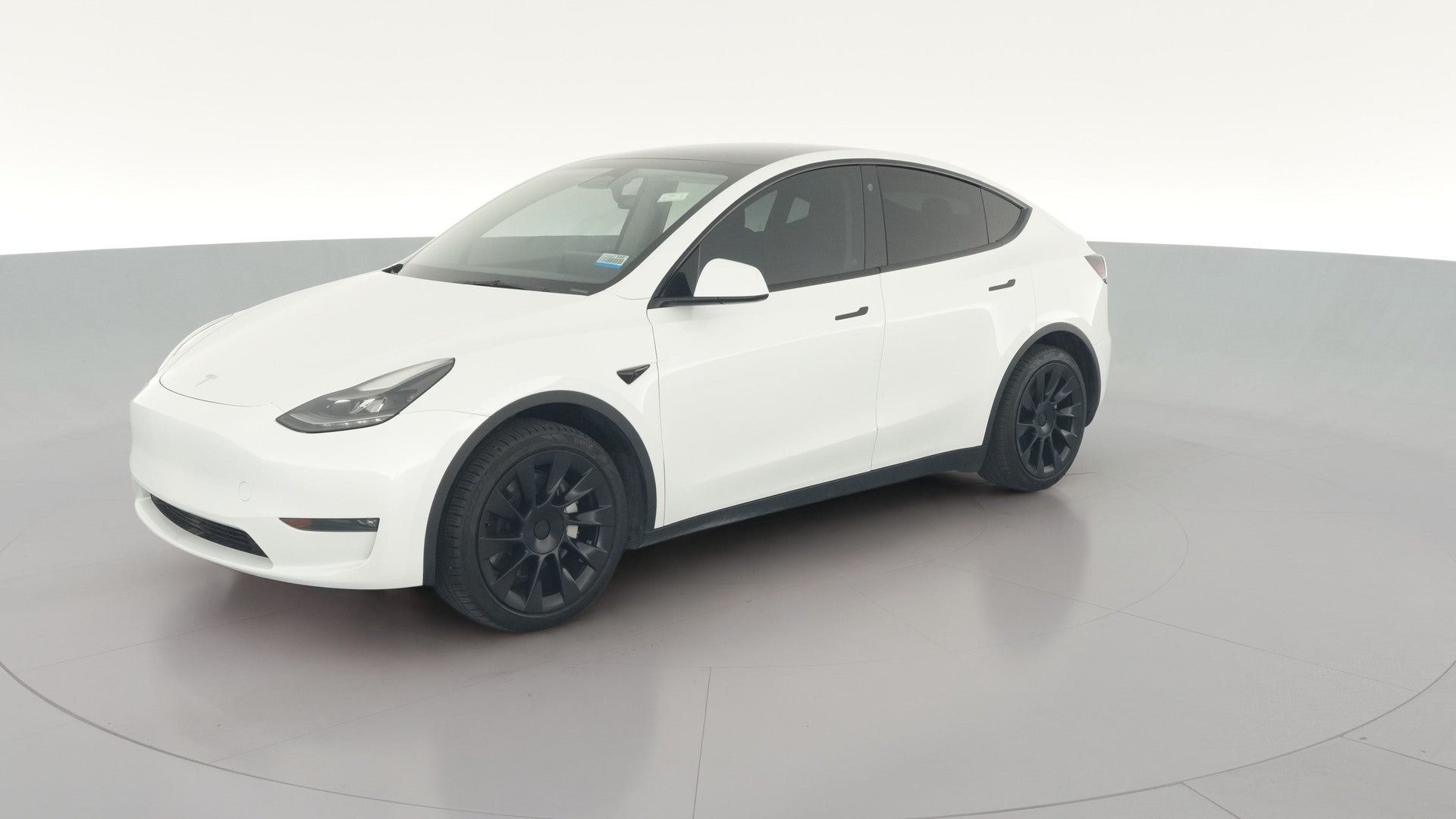 2023 Tesla Model Y vehicle photo