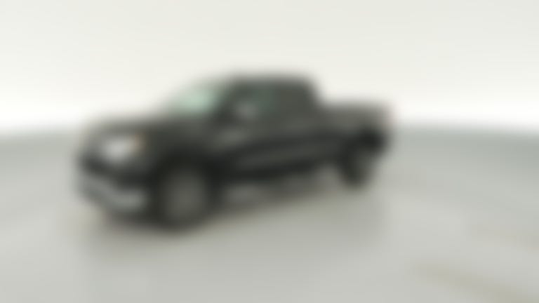 2024 Chevrolet Silverado 1500 Double Cab vehicle photo