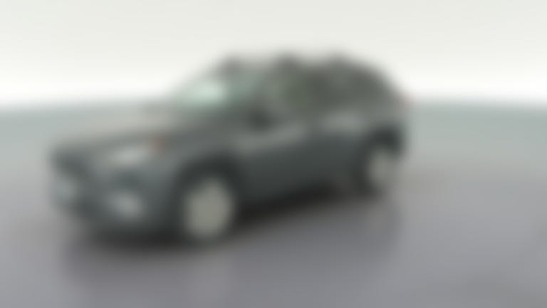 2019 Toyota RAV4 vehicle photo