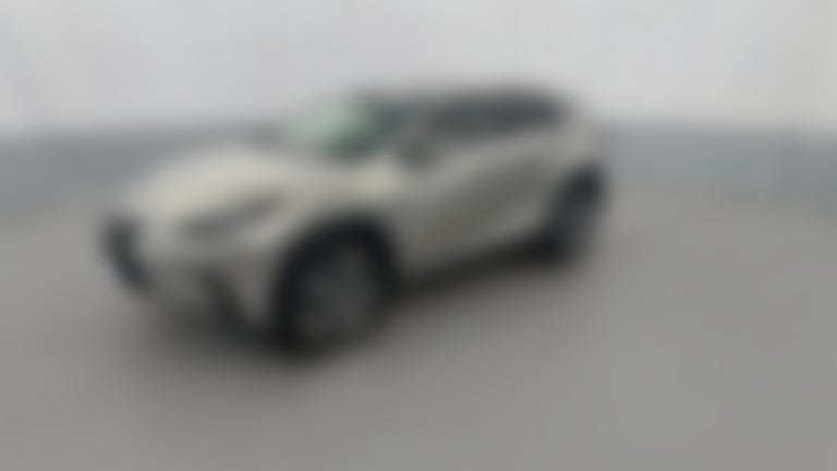 2019 Lexus NX vehicle photo