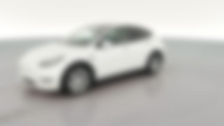 2021 Tesla Model Y vehicle photo