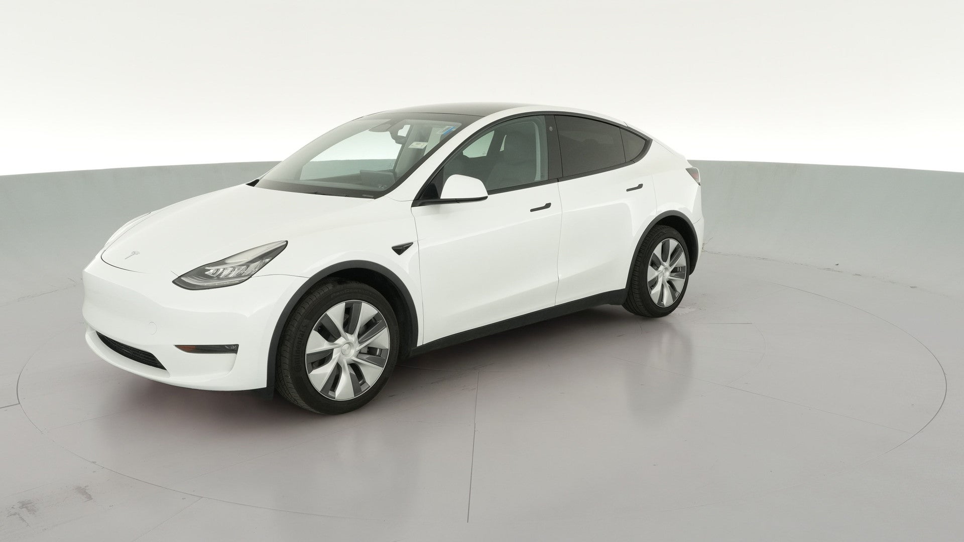2023 Tesla Model Y vehicle photo